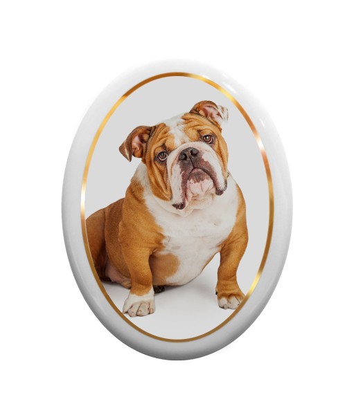 Grabschmuck für Hundegräber - Grabbild in ovaler Form und Echtgoldrand