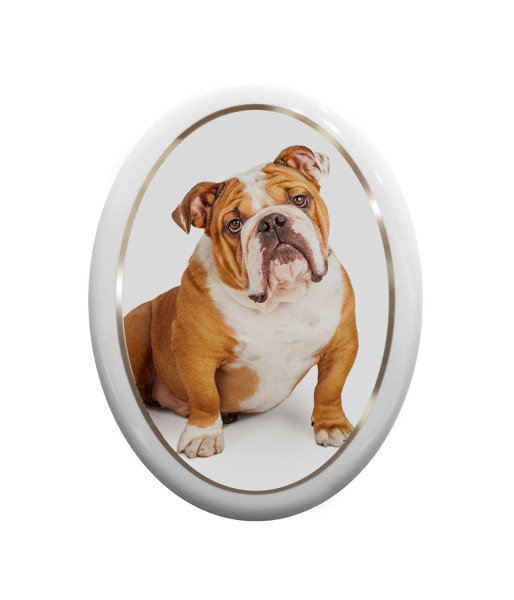 Grabbild von Hundegrab in ovaler Form und Echtsilberrand