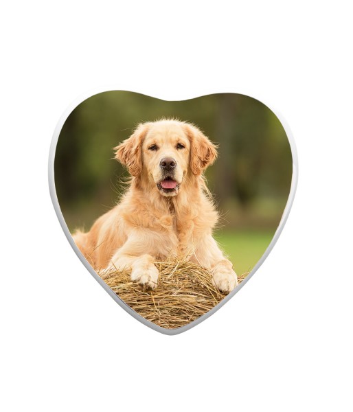Herz für hundegrab - Grabbild in Herzform und weißem Rand für Hundegräber